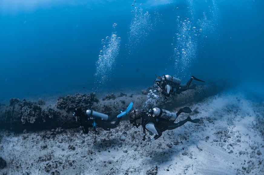 2 Tank Shallow Reef Boat Scuba Dive Experience for Certified and Beginners!