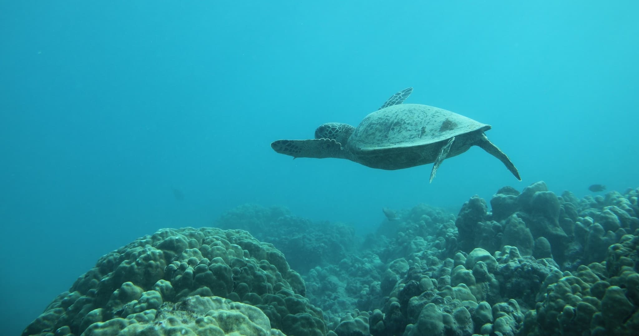 2-Hour Guided Kayak + Beach Time