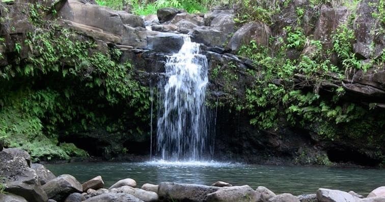 Kayak, Snorkel & Waterfall Combo Tour