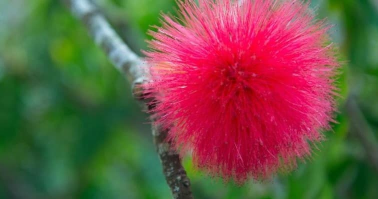 Morning Waterfall Walk & Swim