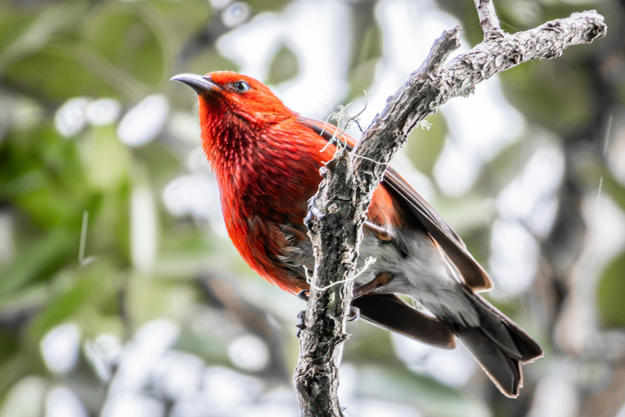 High Country Adventure