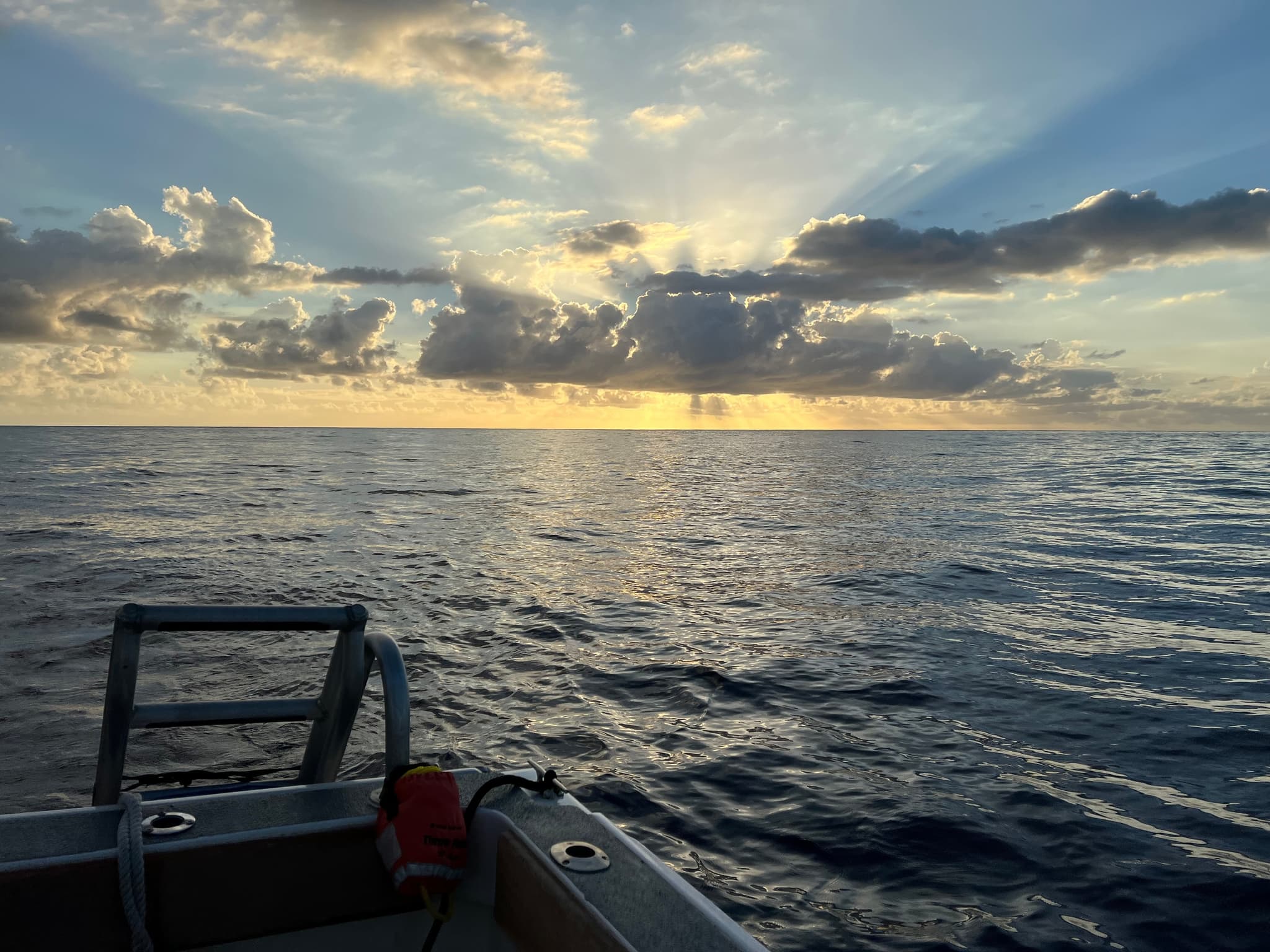 Whale Tail and Sunset Sail