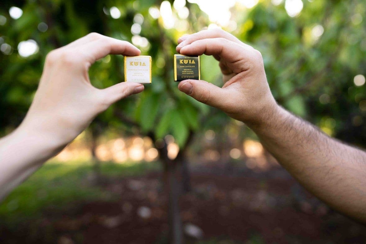 Maui Nonprofit Chocolate Factory Experience