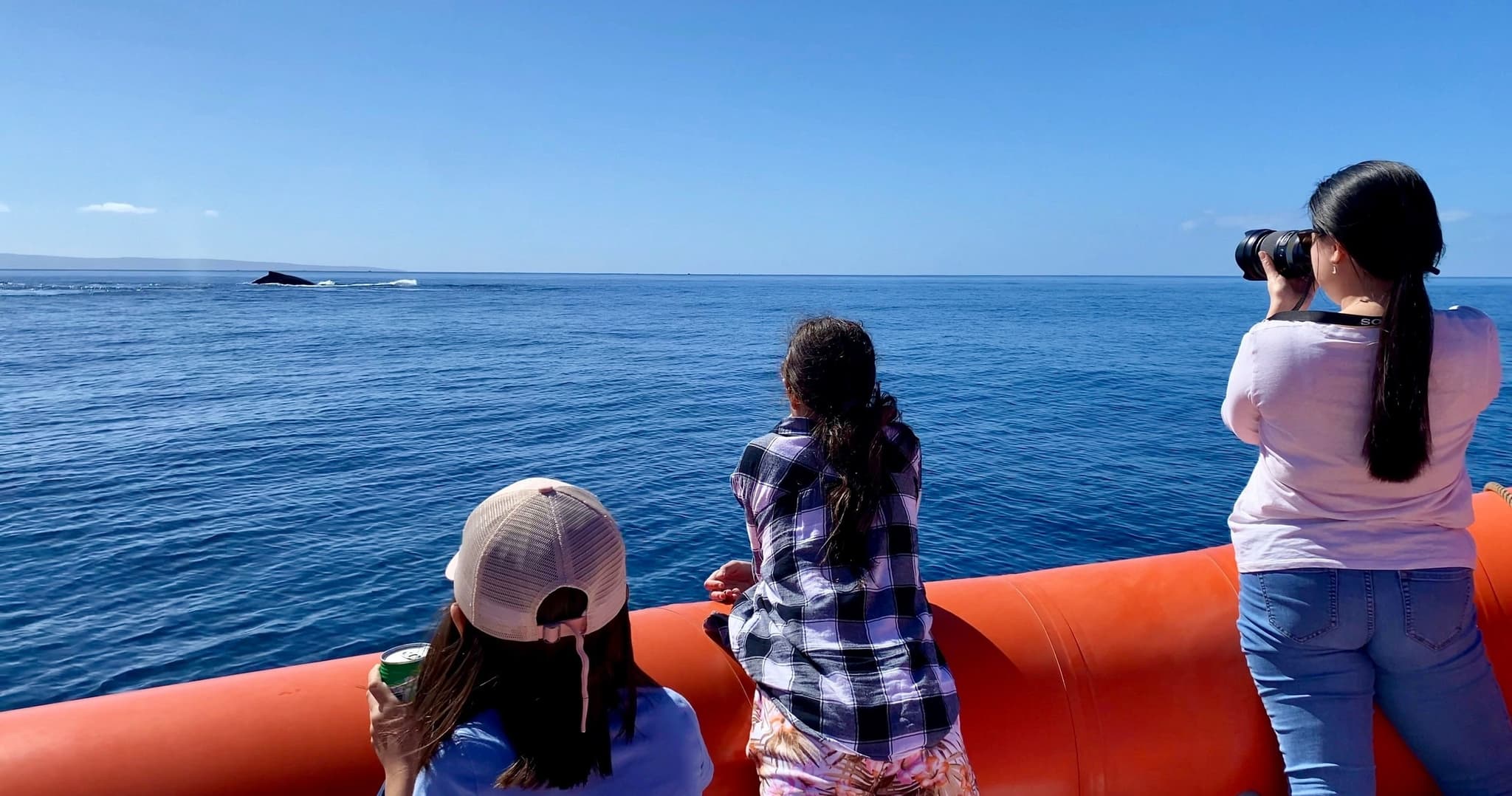 3 HOUR Whale Watch Photography Expedition *Private Charter*