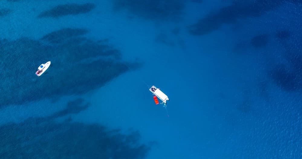 GO CITY Waikiki Whale Watching Cruise