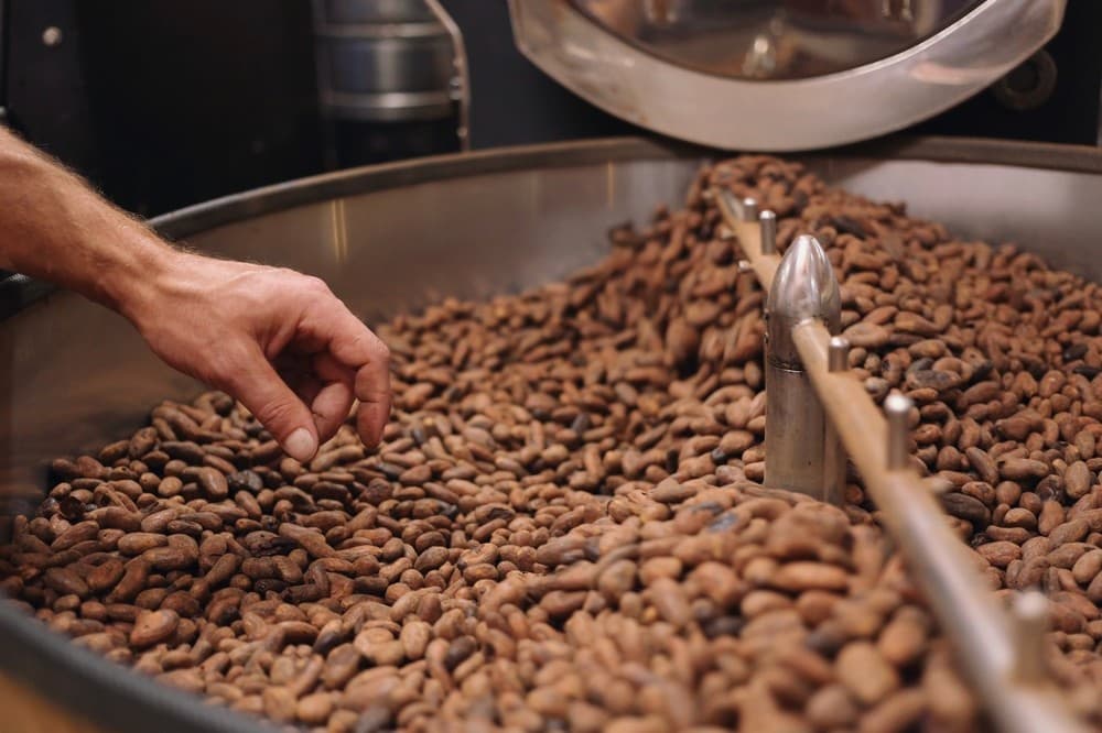 In-Depth Chocolate Education & Tasting Experience