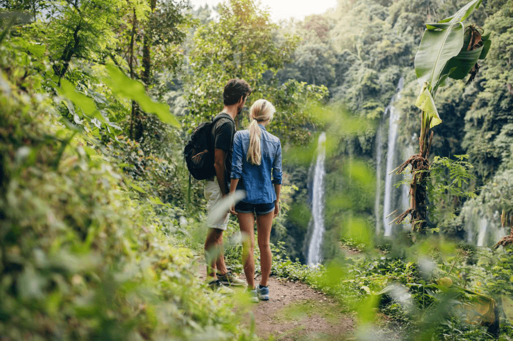 Hike into Heritage: Luxury Rainforest Hike & Waterfall Swim - Private Platinum Minibus