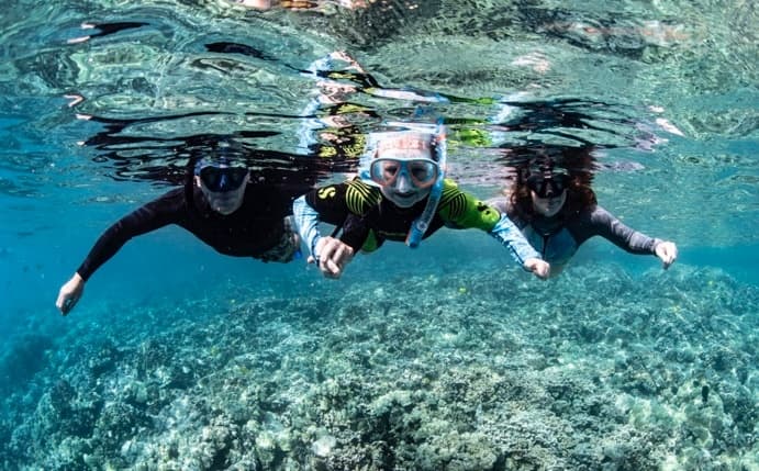 Kealakekua Bay (Capt. Cook) Adventure