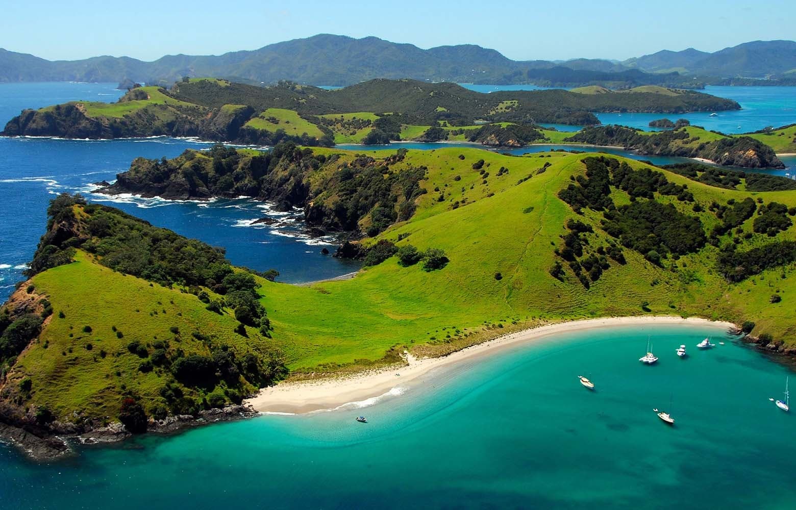 Curiosity in Motion: A Pole Journey through New Zealand