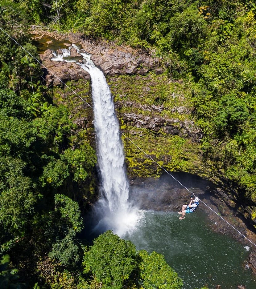 Zipline Adventure with Hilo Cruise Ship Pickup