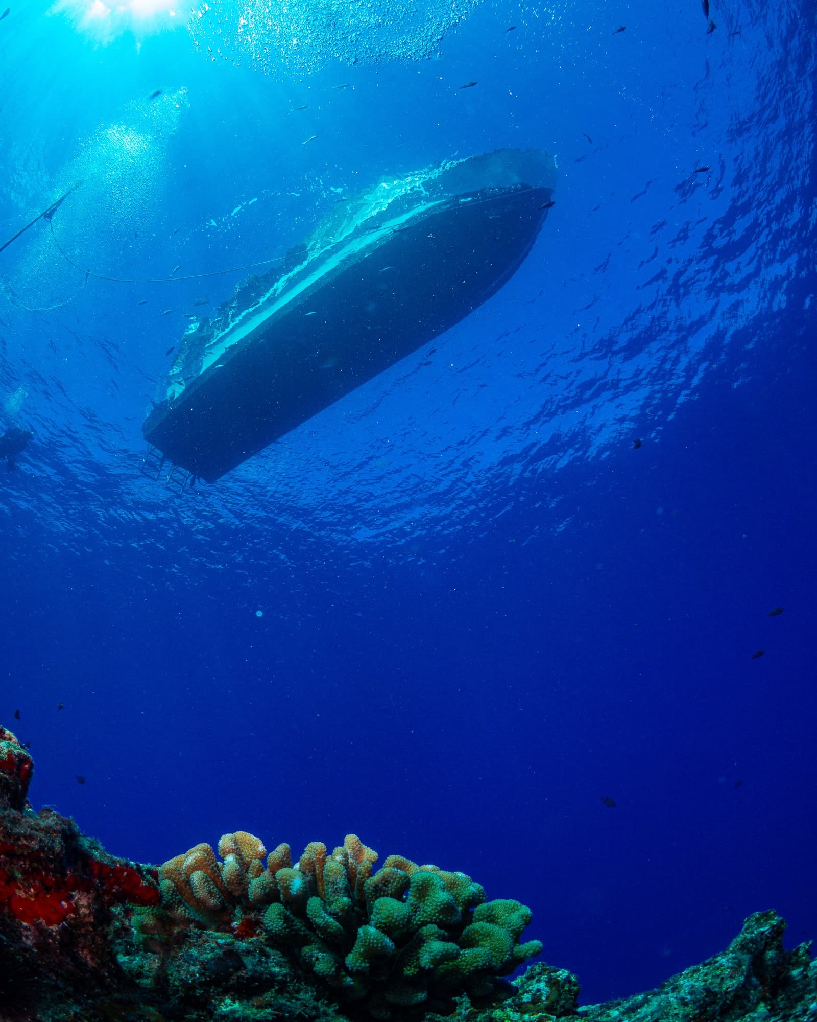 Premium 3-Tank Boat Dive