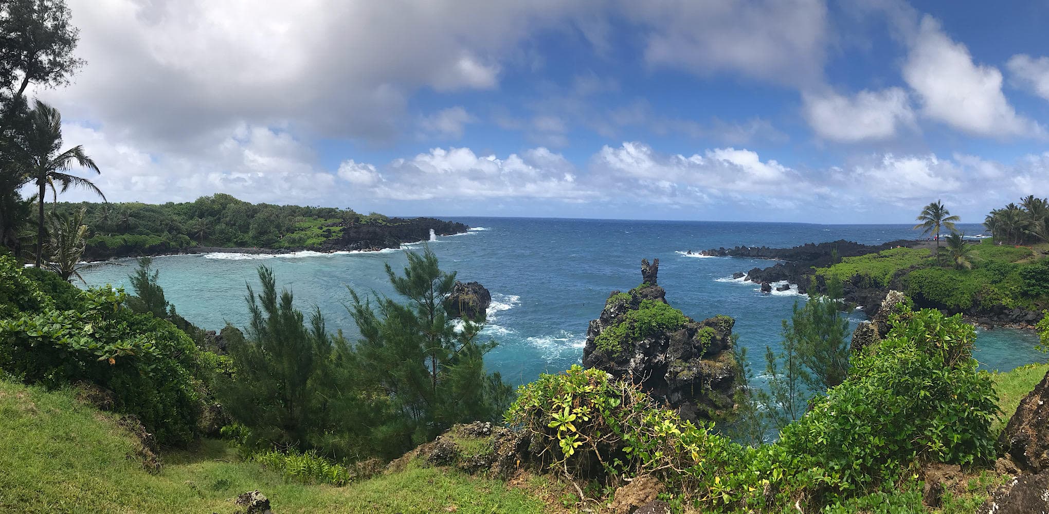 Bird Lovers' Road to Hana