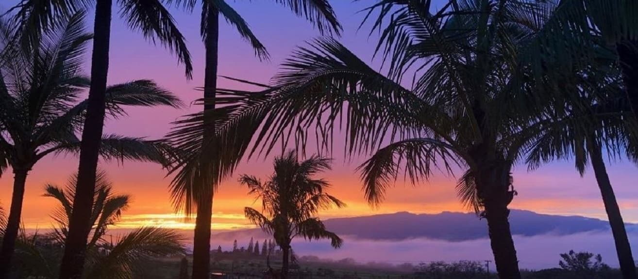 Earth Repair at Maui Majesty