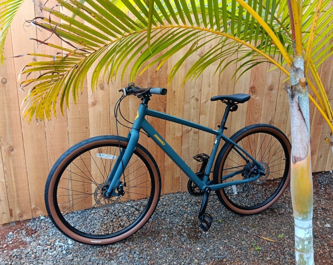 10-Day geared bike rental