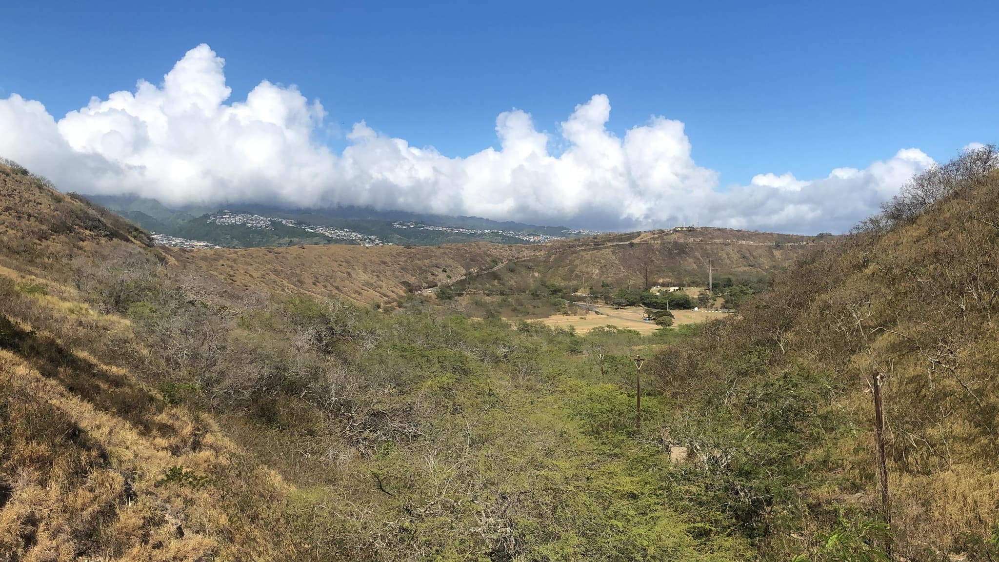Shaxi Diamond Head Hiking and Waikiki Beach Tour