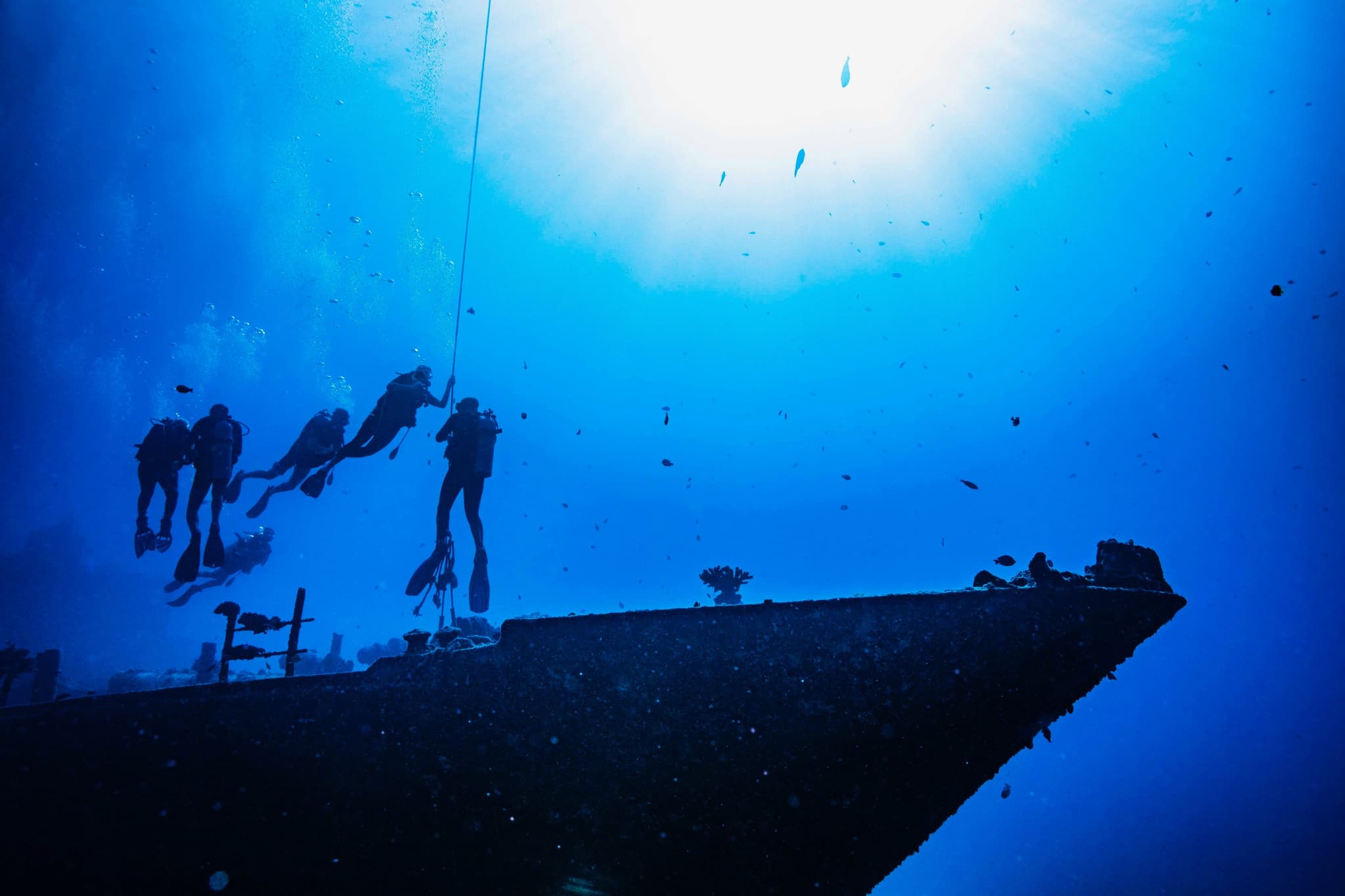 Waikiki 2 Tank Scuba Dive