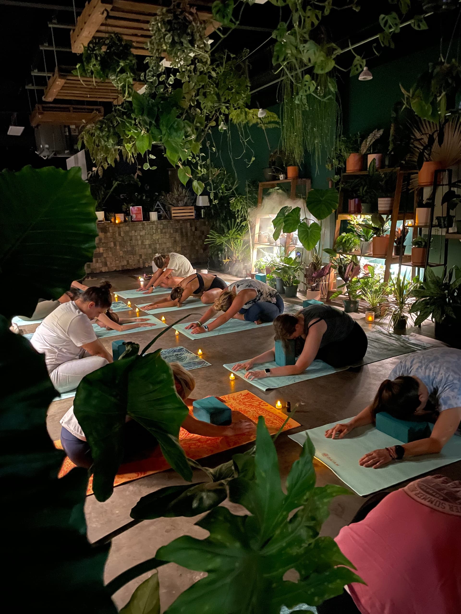 Jungle Yoga & Sound Bath at Plantoem