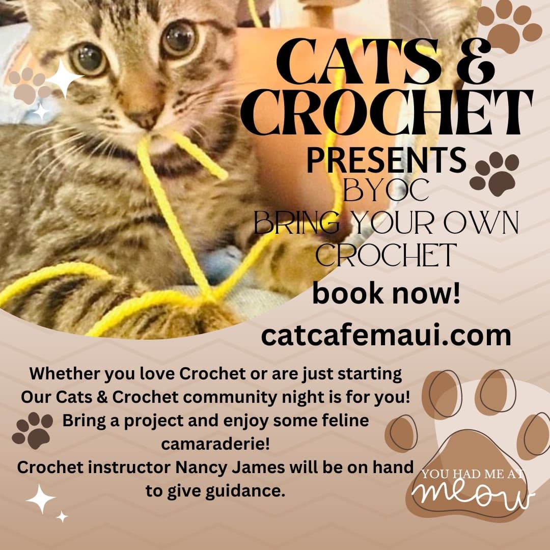 Cats & Crochet