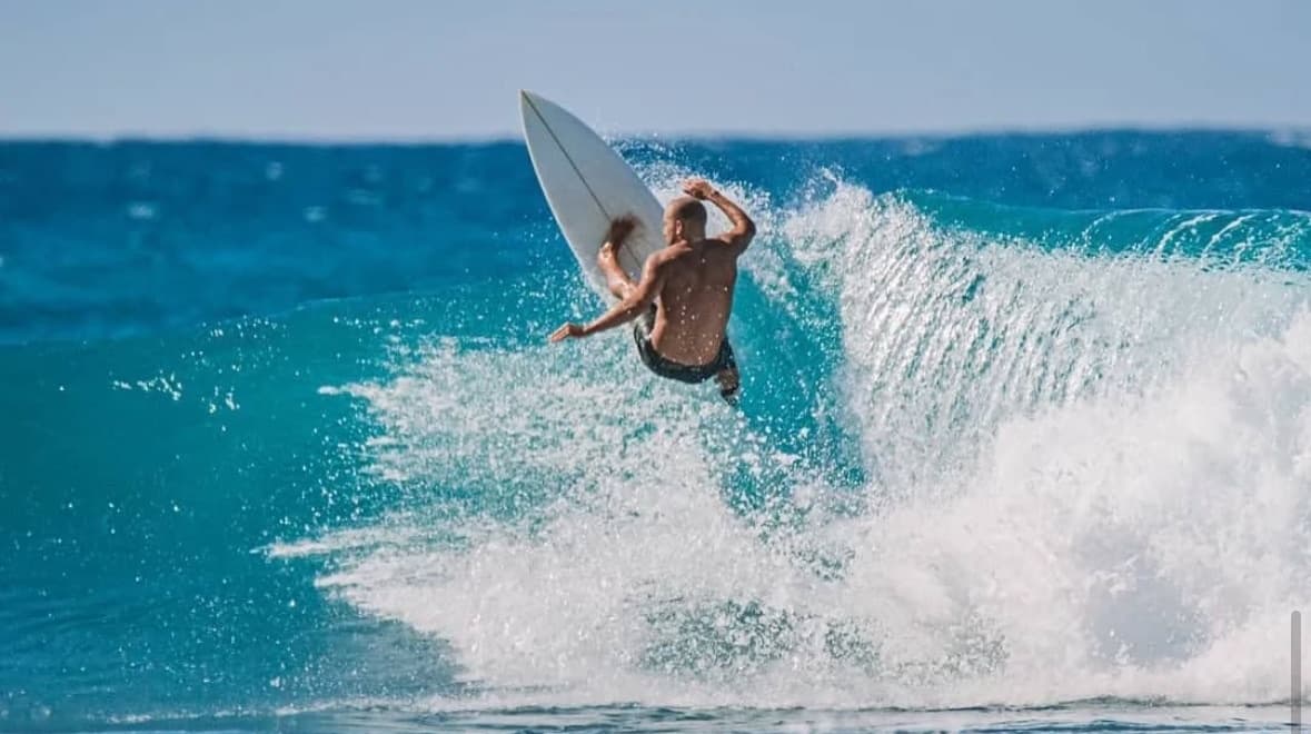 Late-Start, Half-Day, North Shore Highlights Tour + Turtle Snorkel