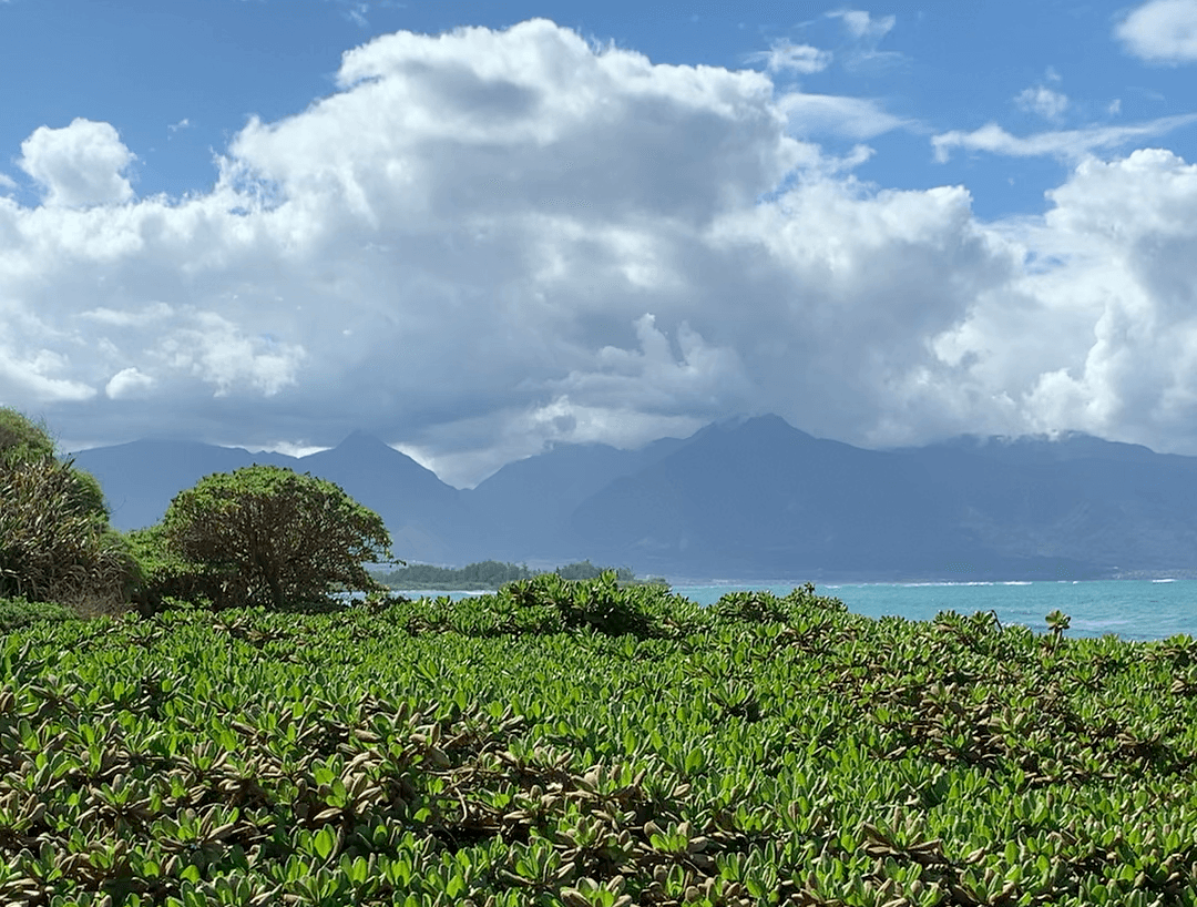 Paia Guided E-Bike Tour