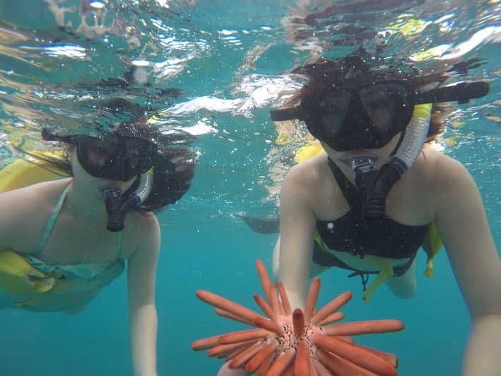 Snorkeling Gear (Mask-Snorkel-Fins)