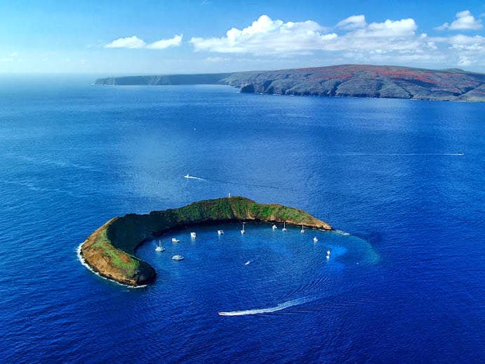 Dive Backwall Molokini