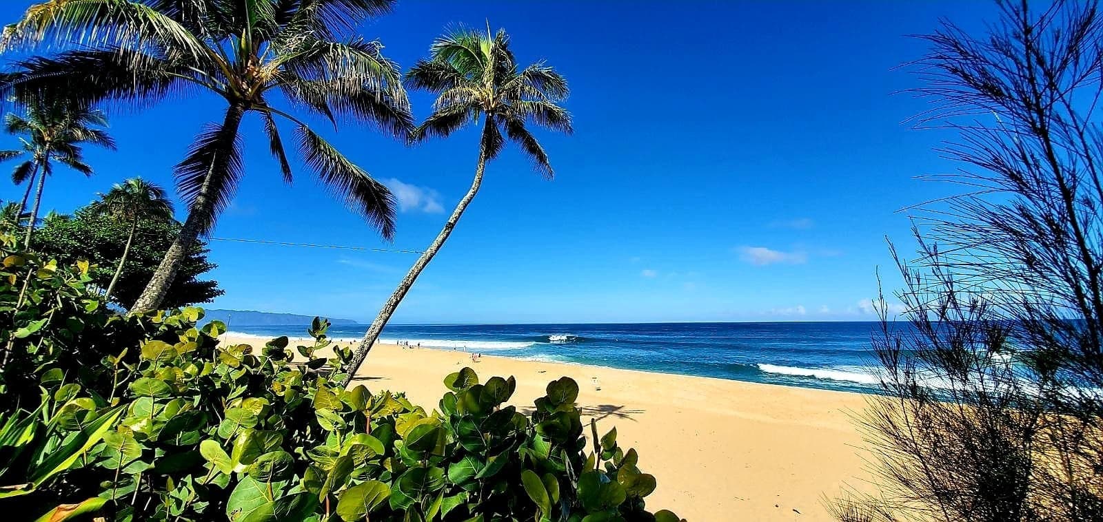 Full Day North Shore Beach Tour