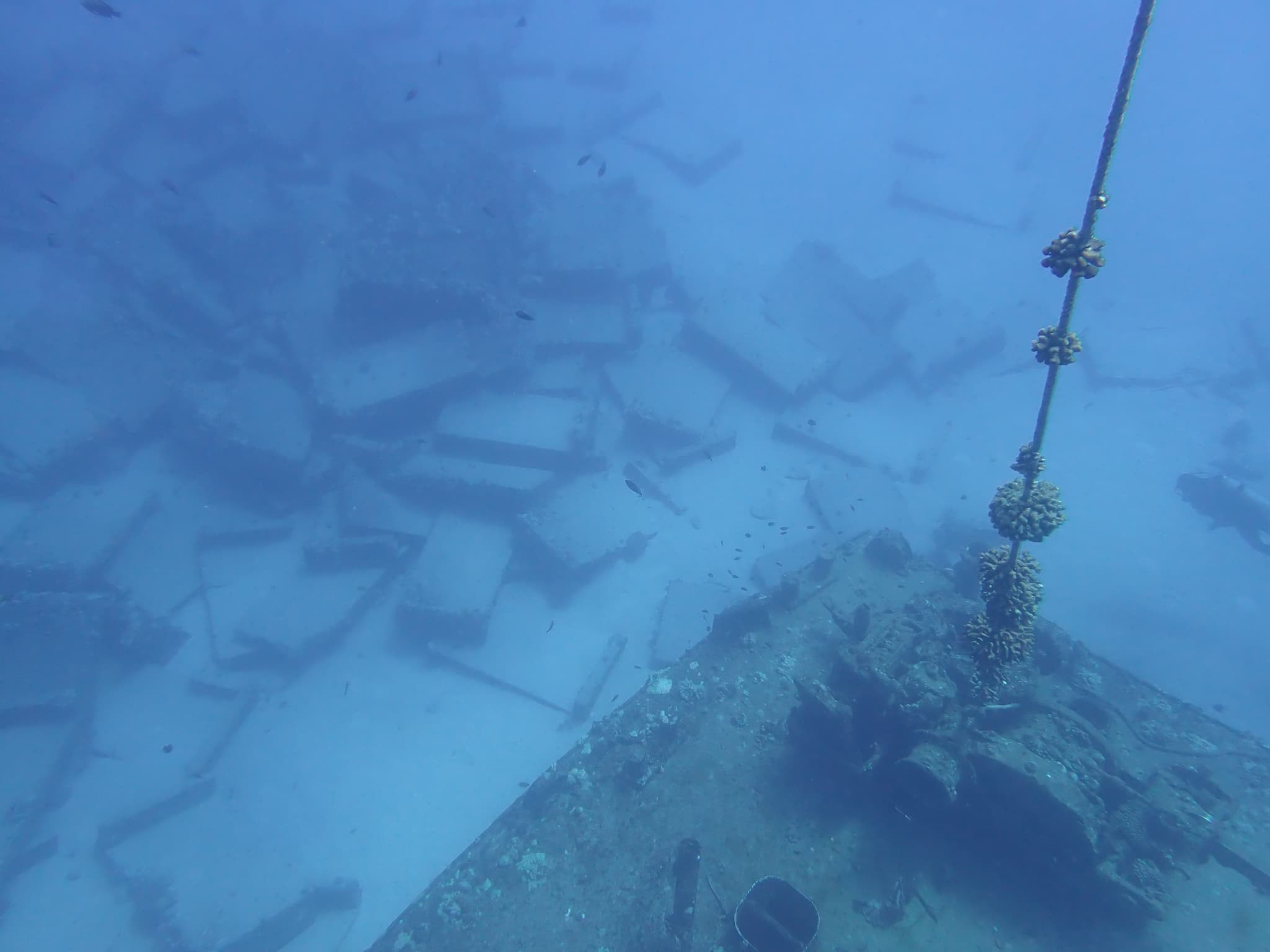 3 Tank West Side Dive Charter