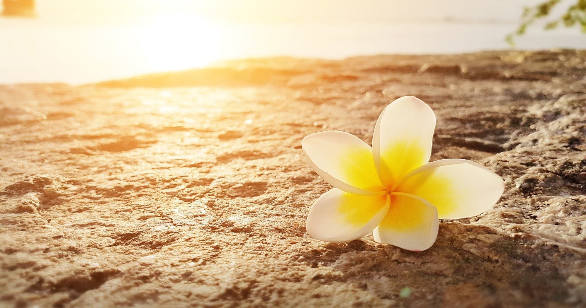 Sacred Hawaiian Wellness Retreat