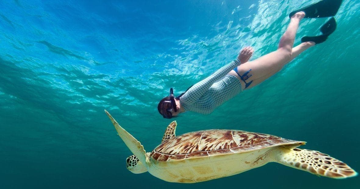 2 Hour Snorkel with Turtles + Water Scooter + Paddleboard