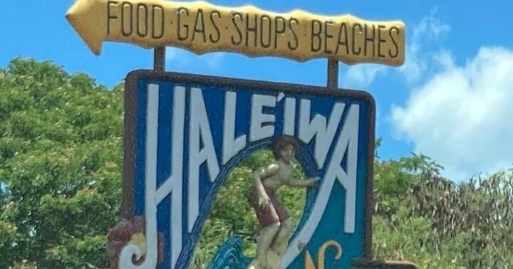 Private VIP Limousine Tour "Dole Plantation" & the "North Shore"