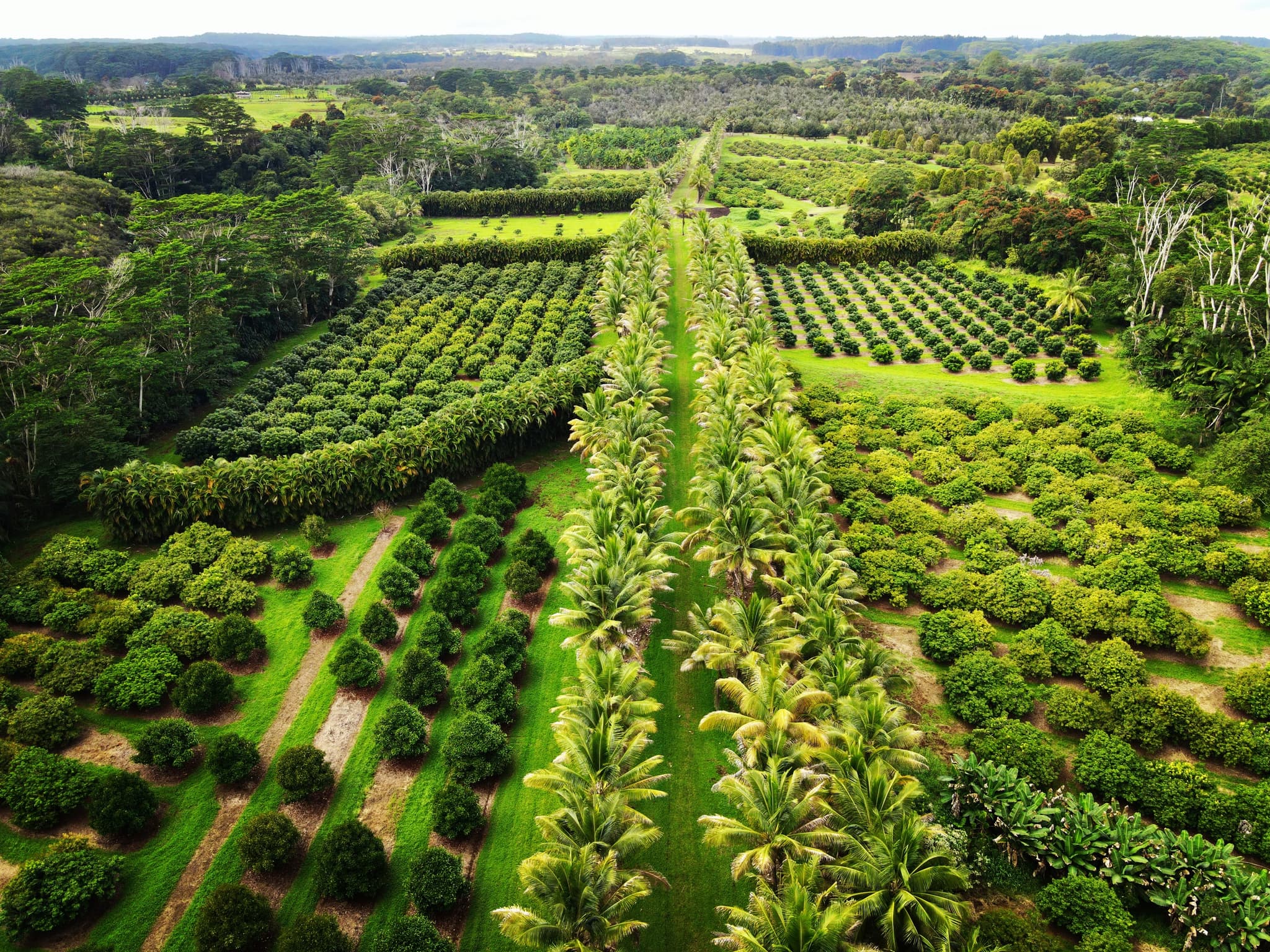 Rainbow Falls Farm Tour