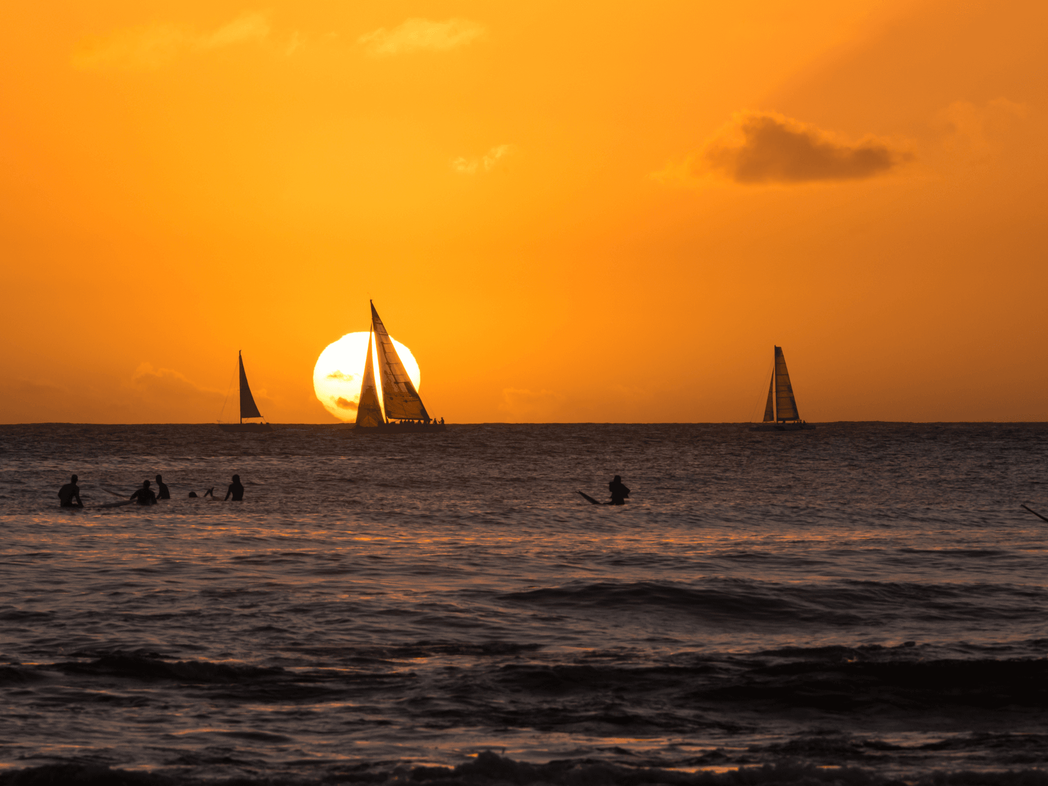 Sunset Swim Adventure (Private)