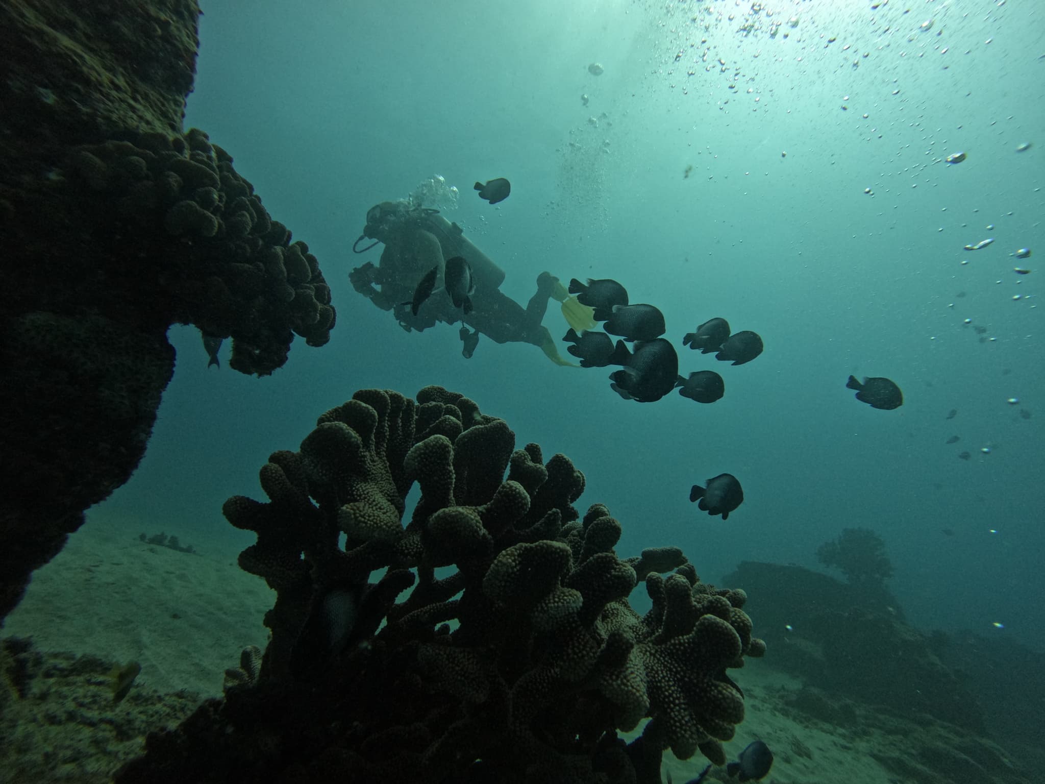 Ahukini Ocean Clean up