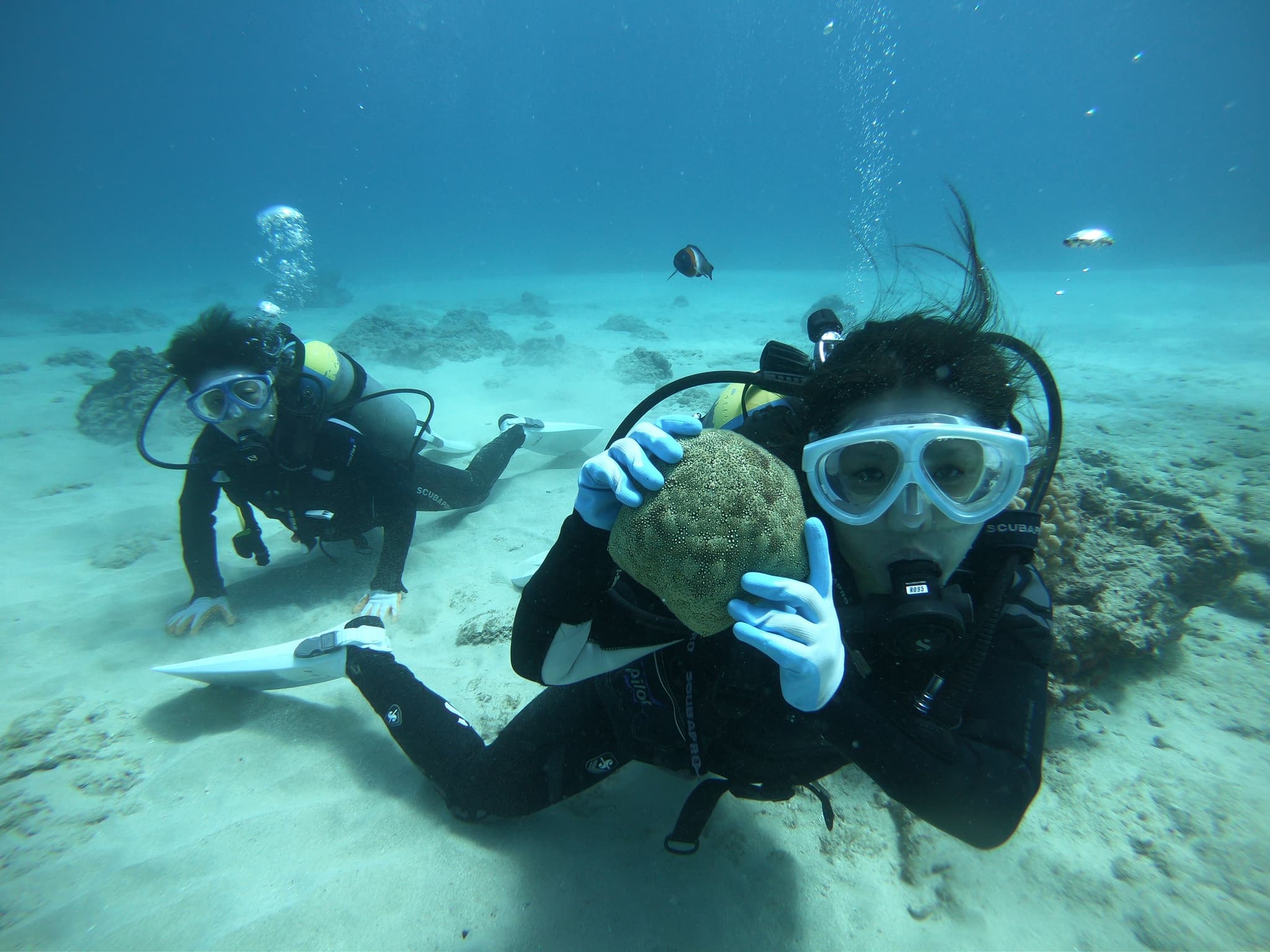 ボート体験ダイビング