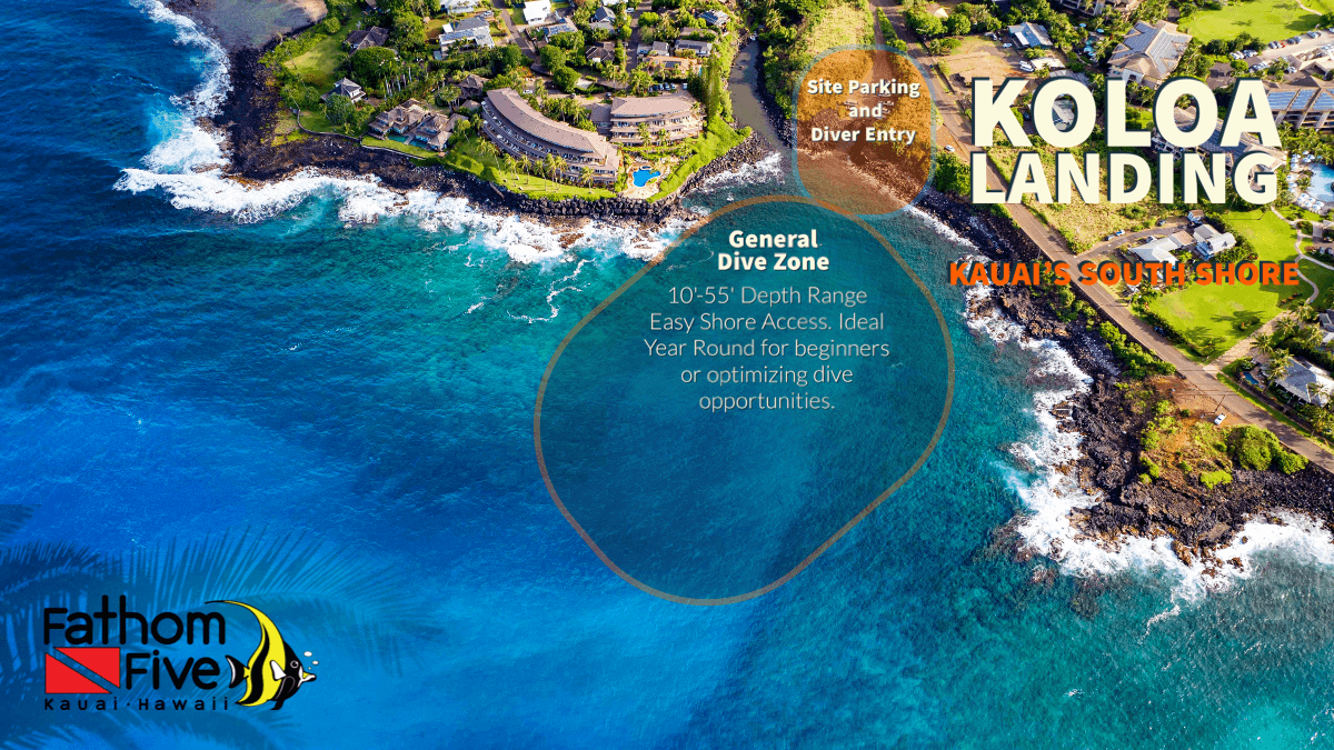 2-Tank Discover SCUBA - Koloa Landing