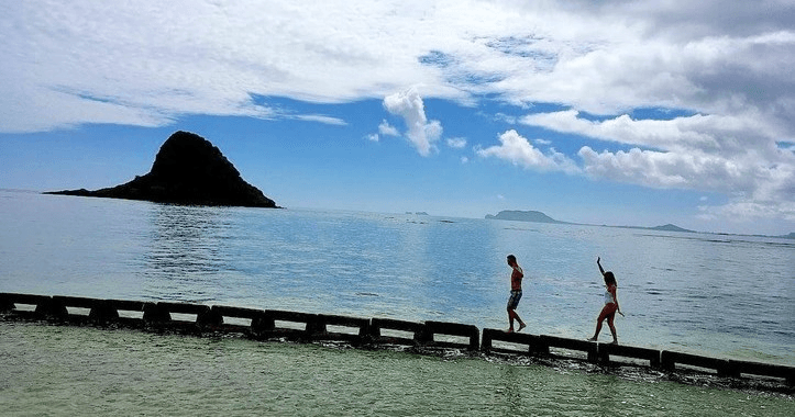 Oahu Circle Island Tour - Half Day (6HR)