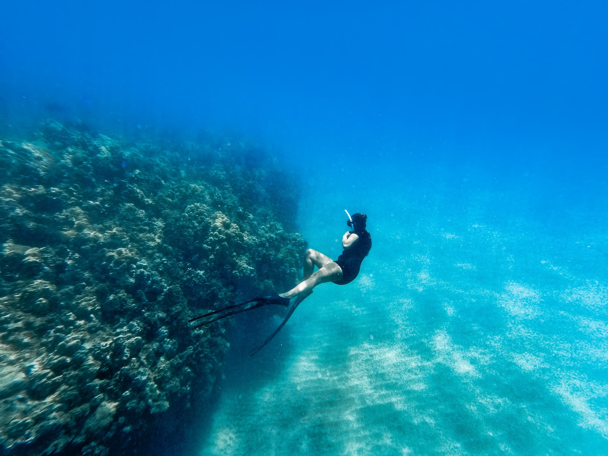 Snorkeling Adventure