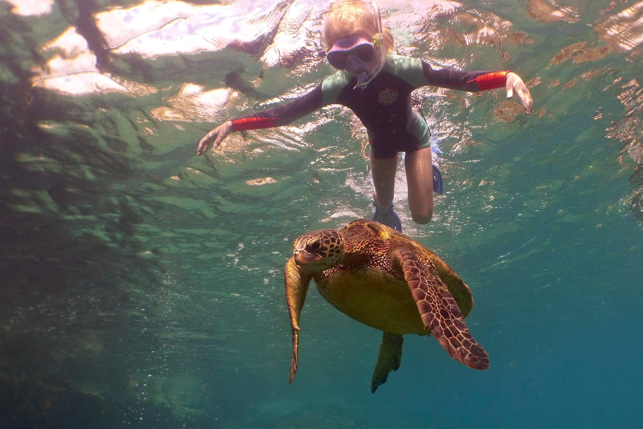 Marine Preserve Snorkel Adventure