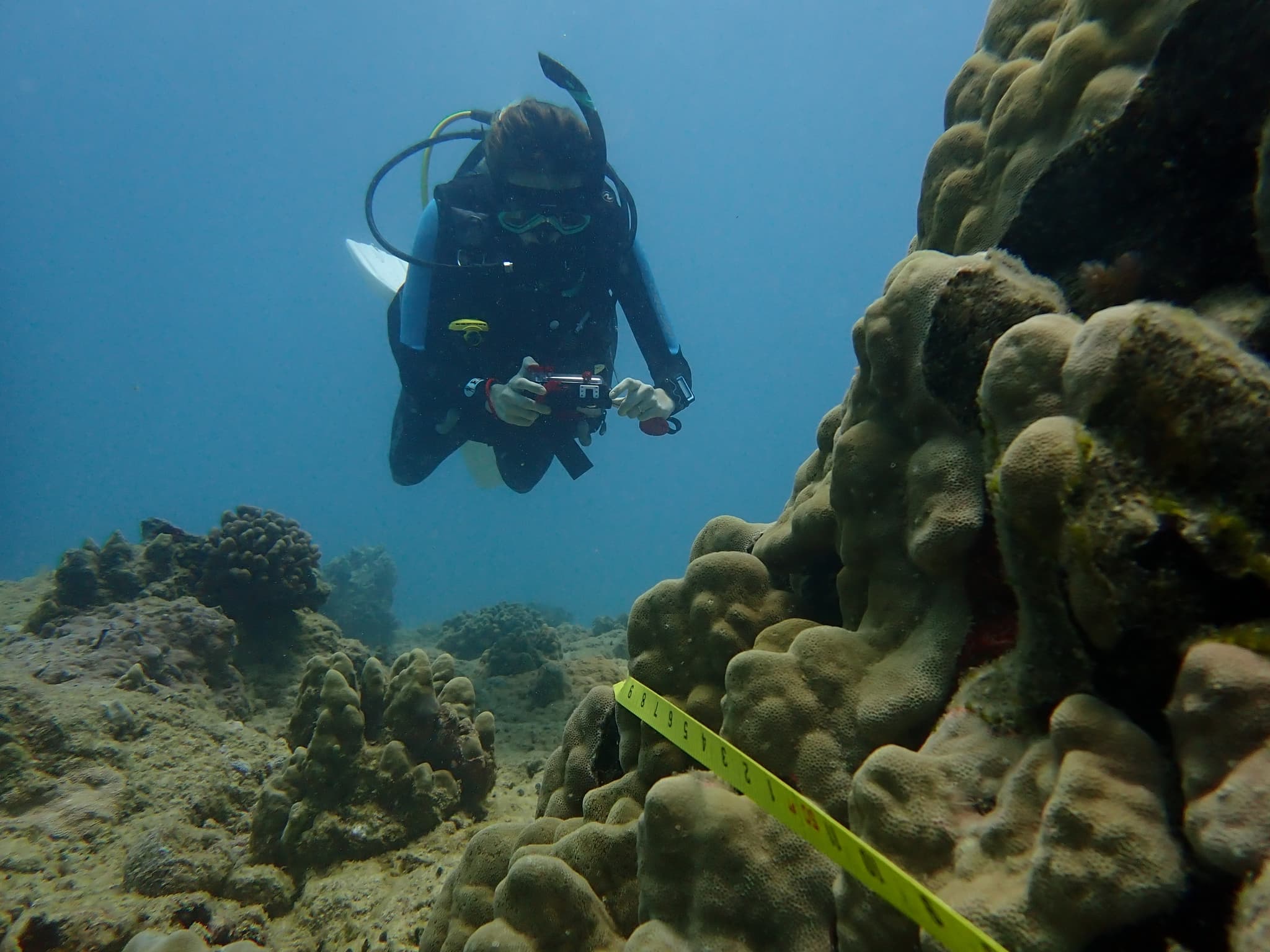 Conservation Diving Tour - Coral Reef Ecology and Monitoring with Certification