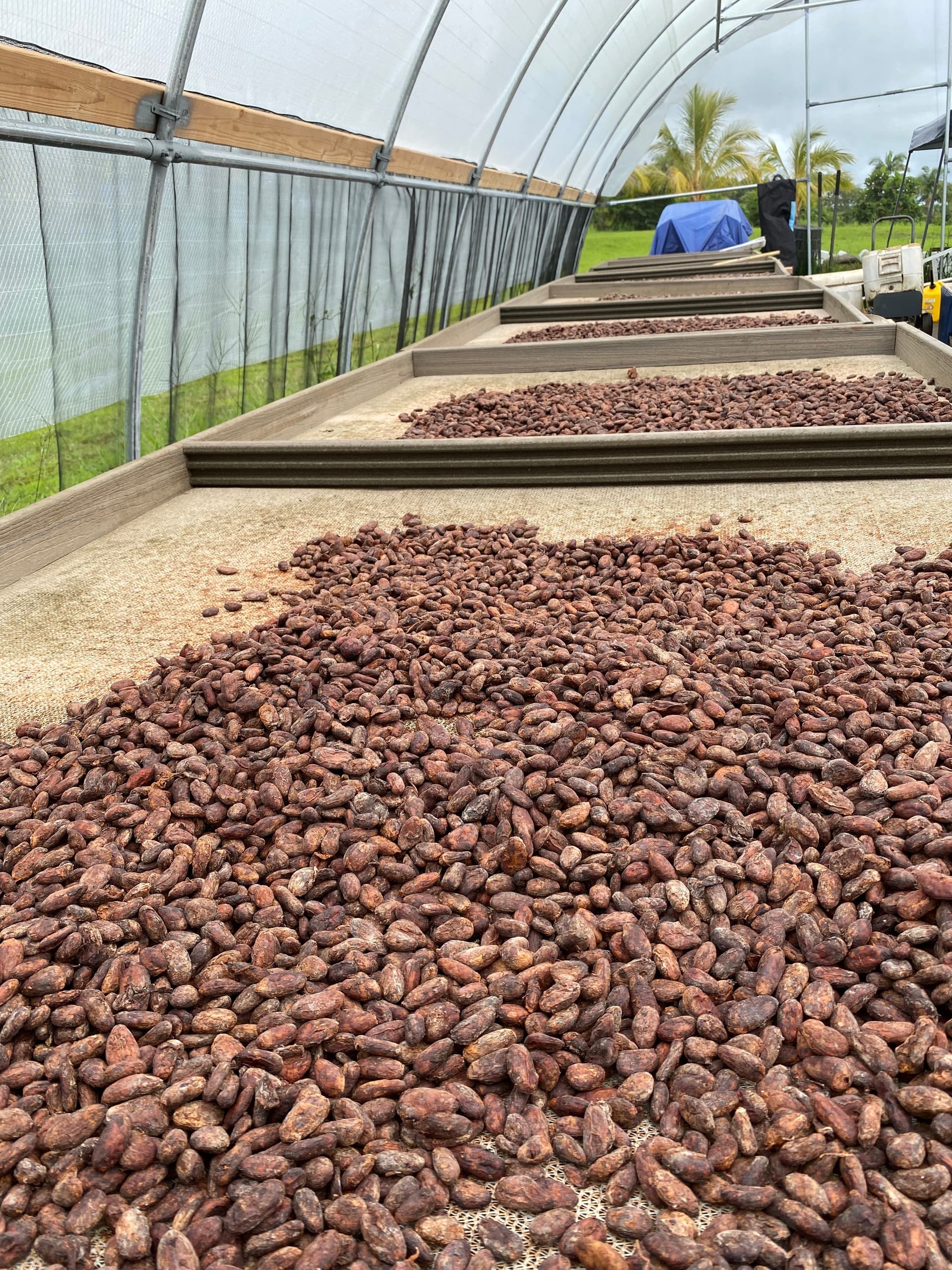 Ua Hānai Orchards Agroforestry Farm and Factory Tour