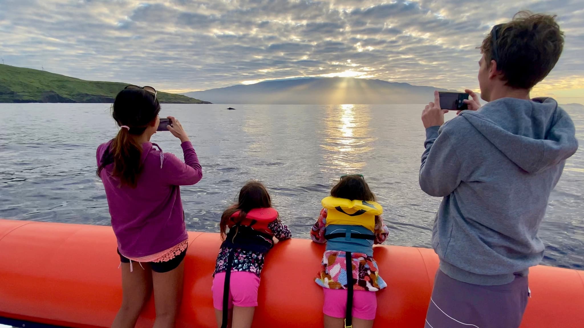 Premier Whale Watch *Private Charter* 3 HOURS + SNORKEL