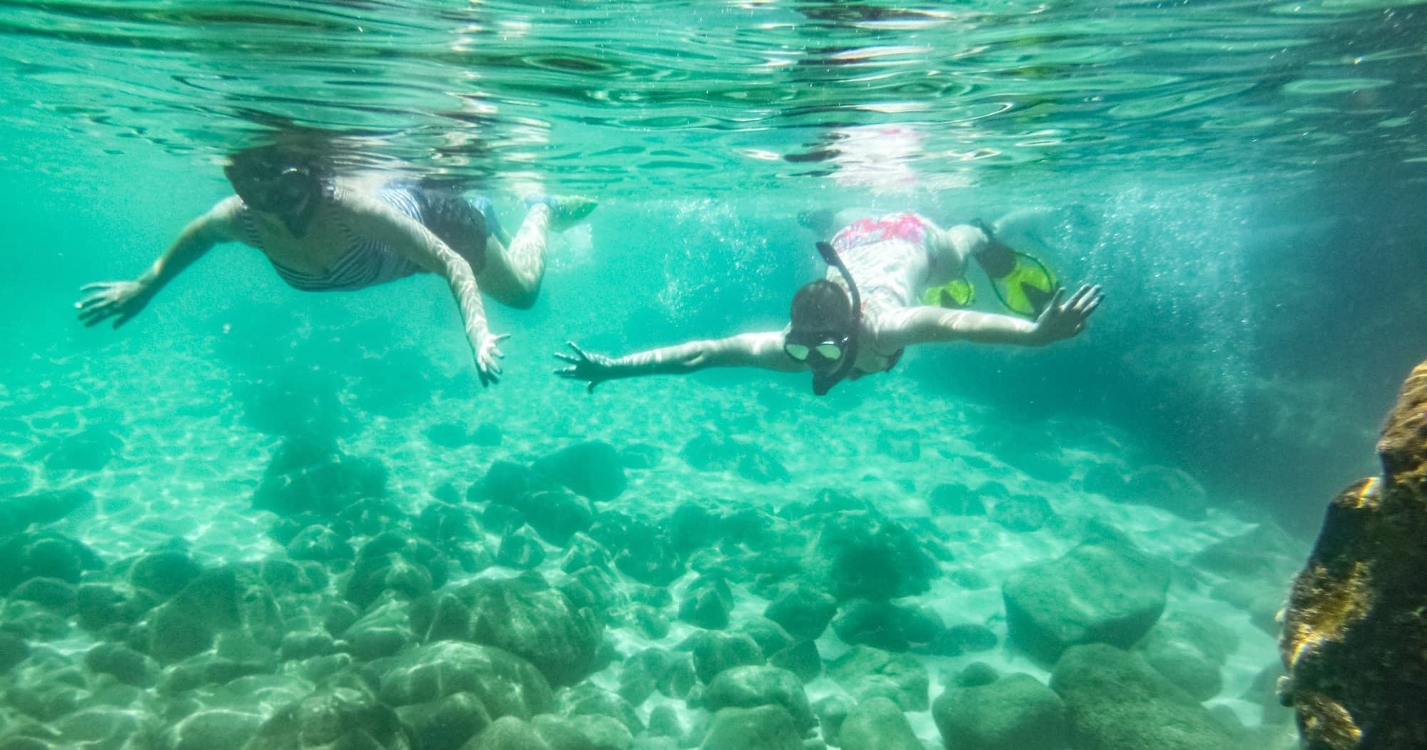 Sharks Cove Self-Guided Snorkel