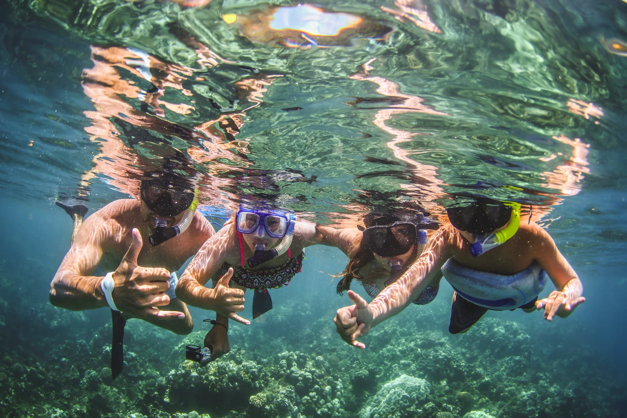 Morning Snorkel Adventure