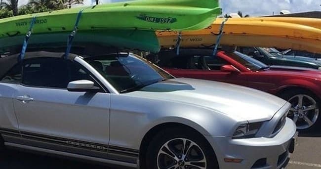 Full Day Kayak and SUP Rentals