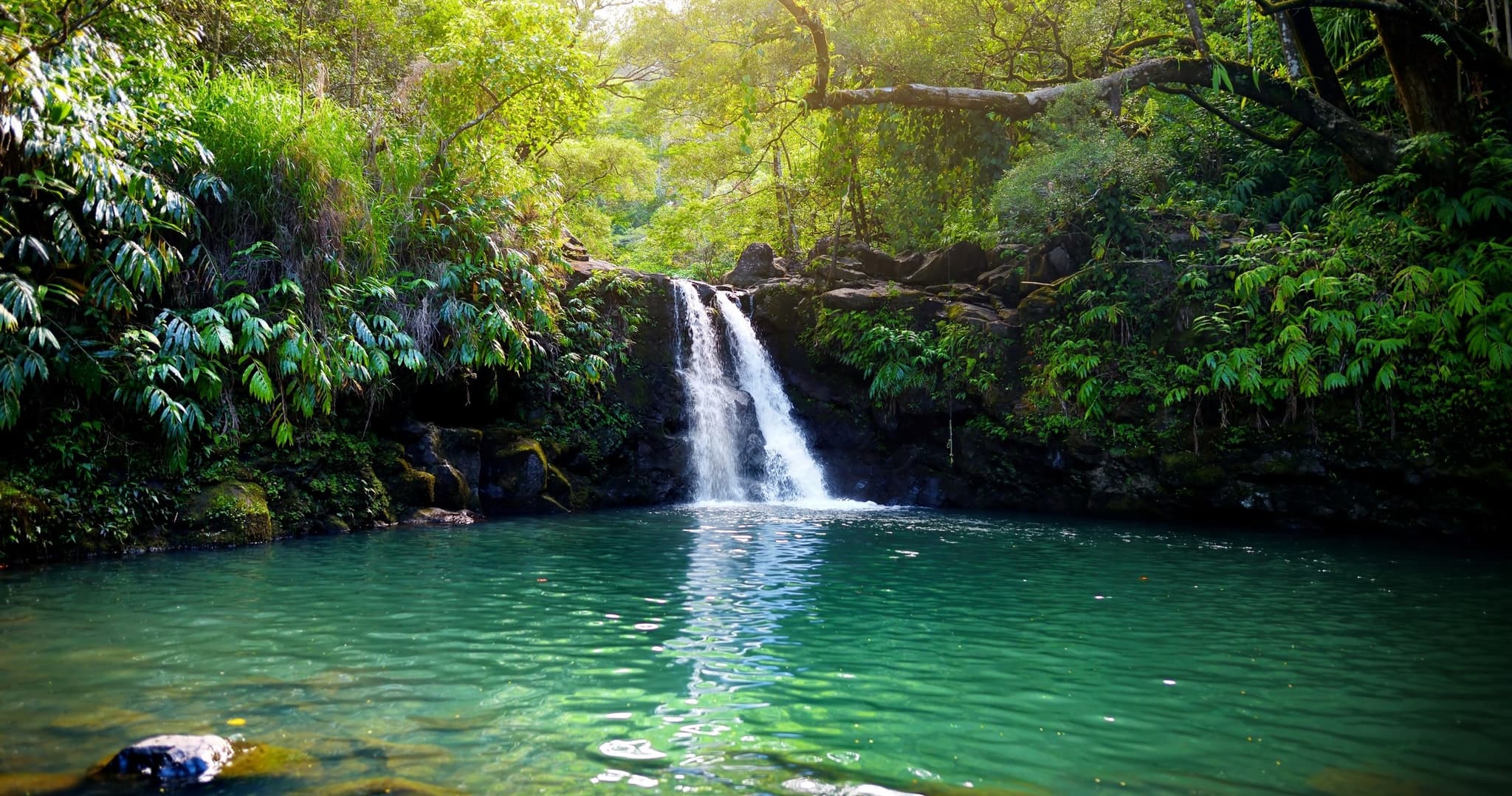 Private Land and Sea Tour - Upcountry Sunset