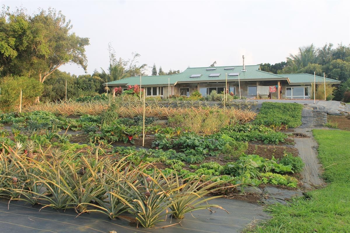 Lokahi Guided Walking Tour
