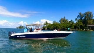 1 Tank Boat Dive - Sea Turtles & Tropical Reef