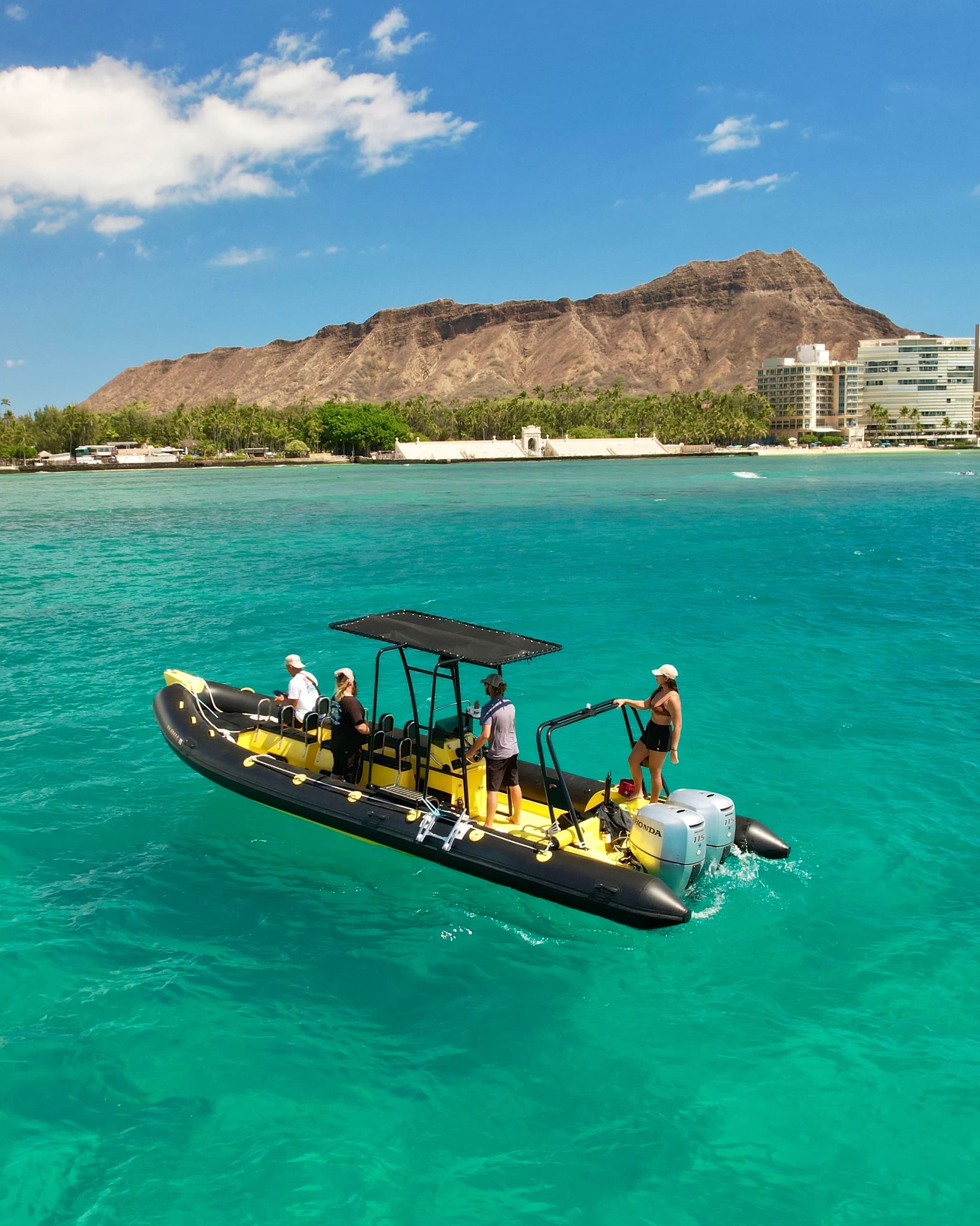 Whale Watching Tour  |  December - March