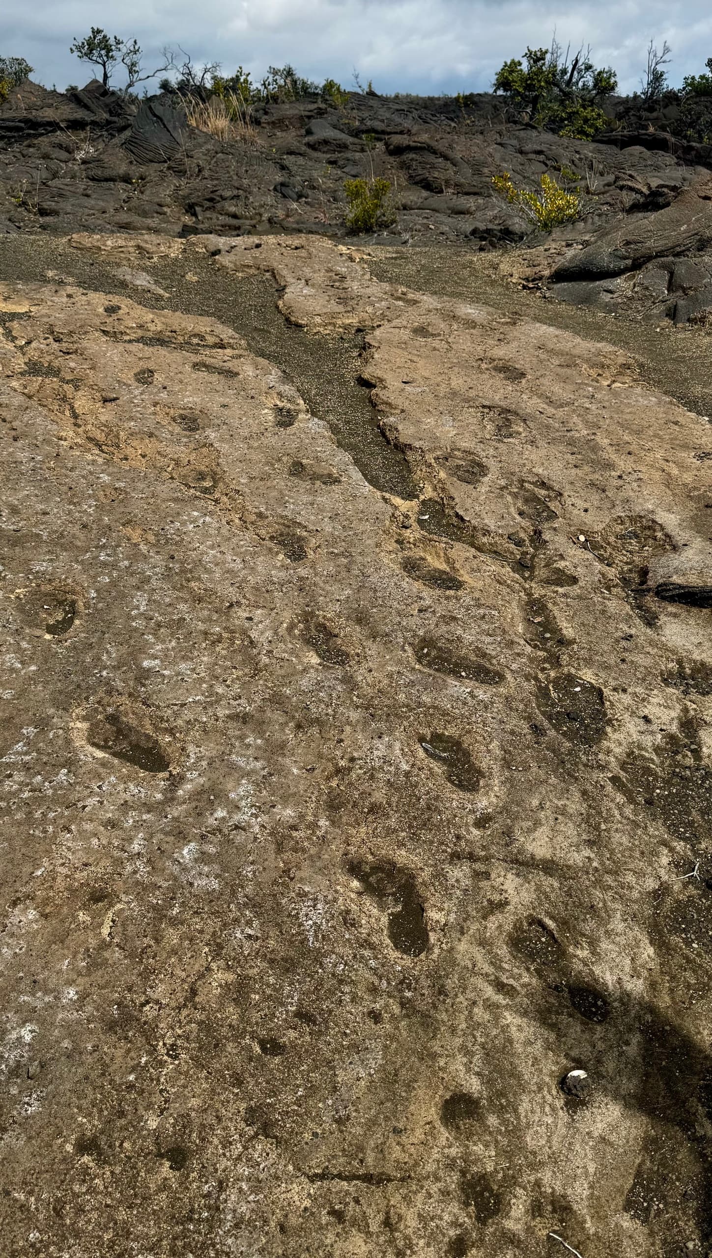 National Park Hiking Tour